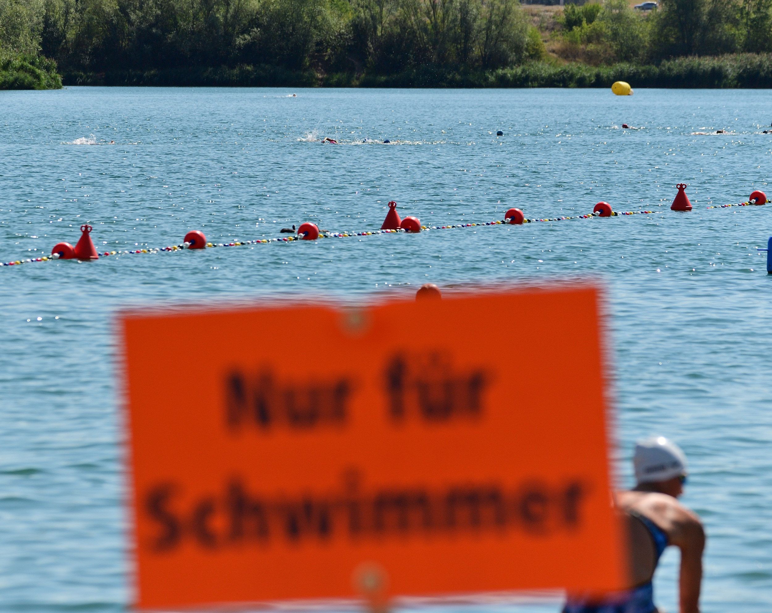 39. Langstreckenschwimmen Erfurt-Stotternheim